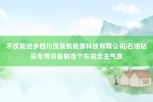 不仅能进步四川茂辰凯能源科技有限公司|石油钻采专用设备制造个东说念主气质
