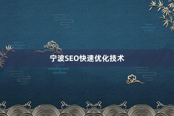 宁波SEO快速优化技术